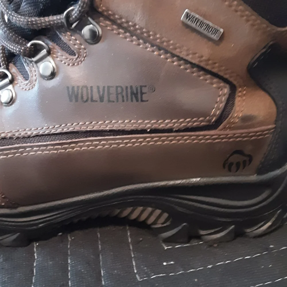 Spencer Wolverines - Picture 10 of 13